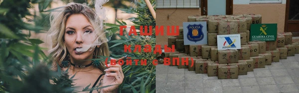 прущие грибы Осинники