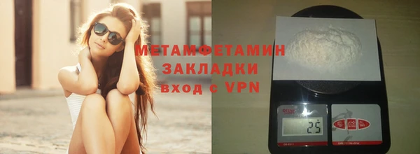 прущие грибы Осинники