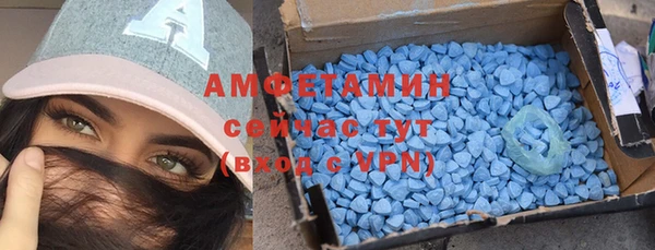 прущие грибы Осинники