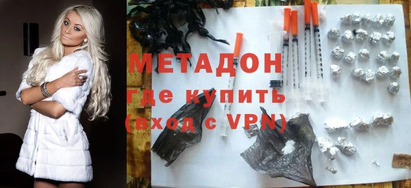 прущие грибы Осинники