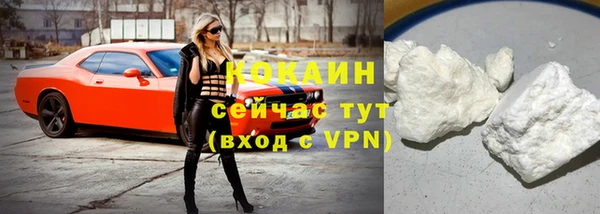 прущие грибы Осинники